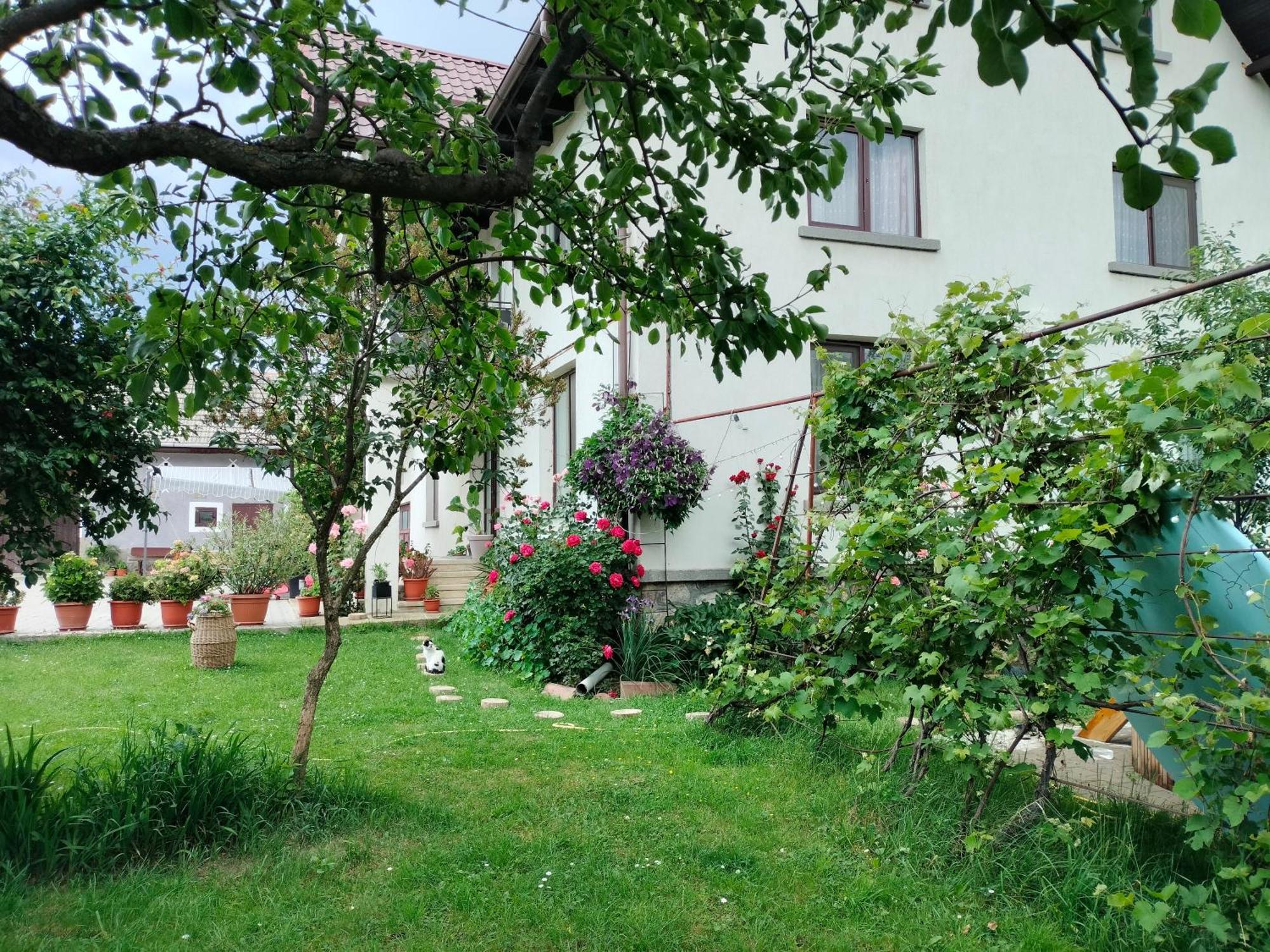 Hotel Casa Cornelia à Bran  Extérieur photo